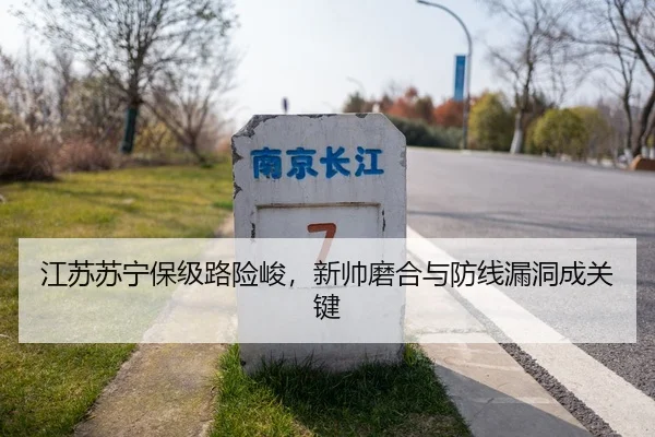 江苏苏宁保级路险峻，新帅磨合与防线漏洞成关键