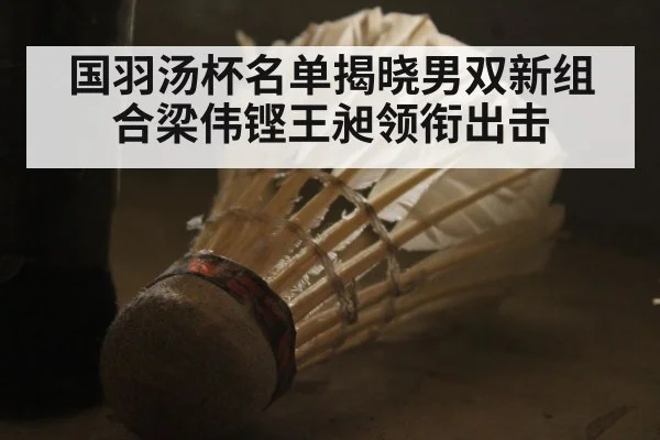 国羽汤杯名单揭晓男双新组合梁伟铿王昶领衔出击