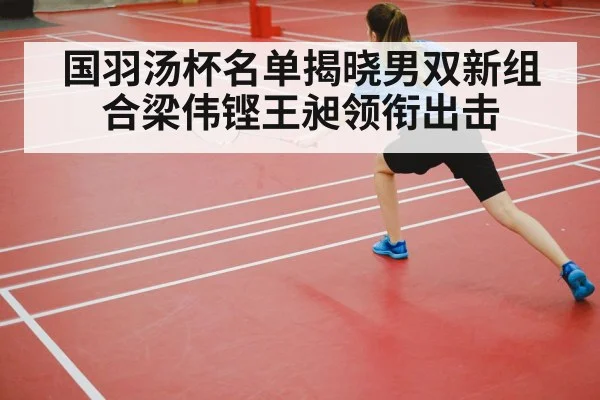 badminton court competition